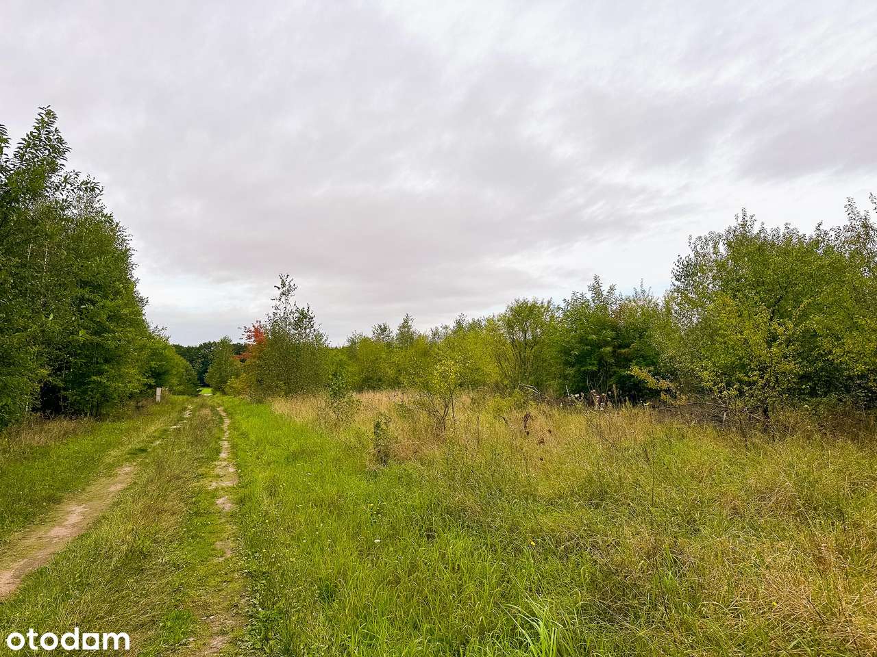 Ostatnie działki budowlane, między dwoma jeziorami!-5