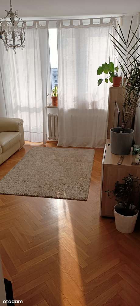 Wynajmę słoneczne, przytulne trzypokojowe mieszkanie, 50m2, Mokotów