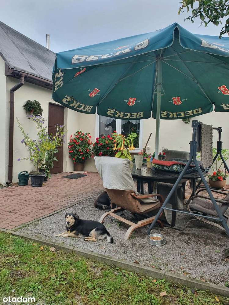 Dom wolnostojący z piwnicą w Lublinie