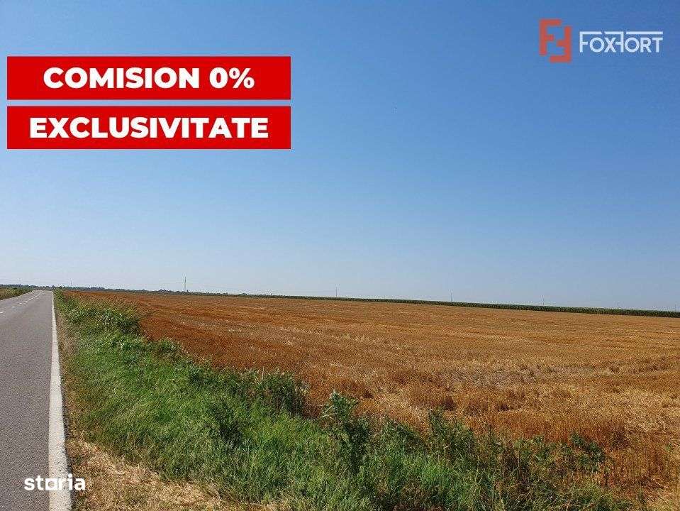 COMISION 0% Teren extravilan 4,47 ha, 800m front stradal, Peciu Nou - - Imagine principală: 4/10