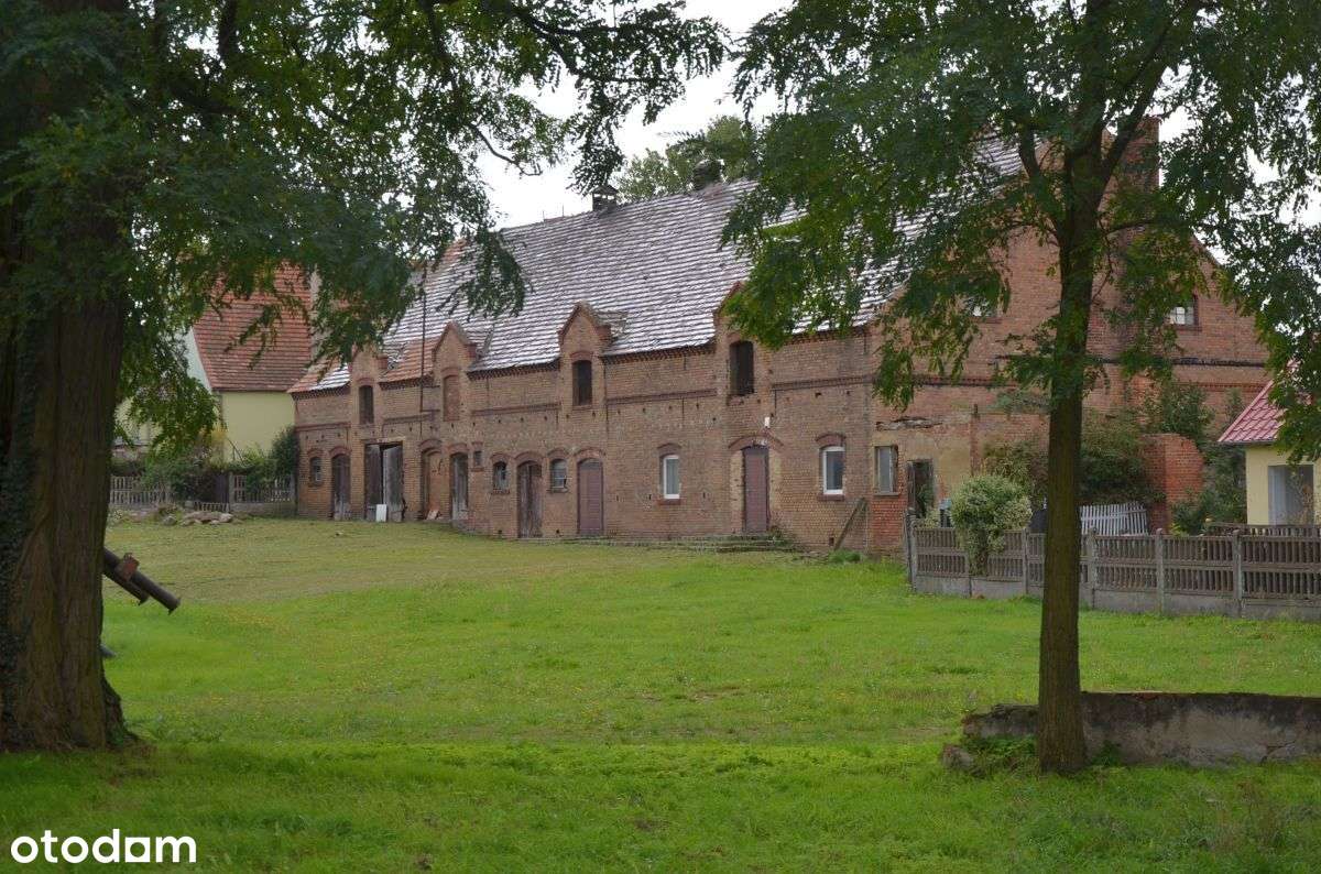 Pałac Renesansowy W Woj. Lubuskim - Pełny obrazek: 5/20