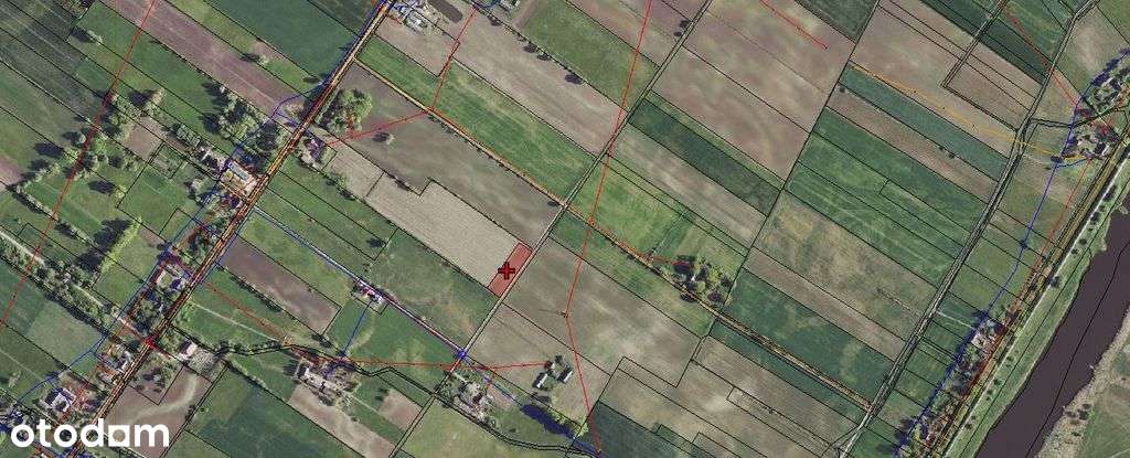 Malownicza działka we Włostowie, gmina Bogdaniec-5