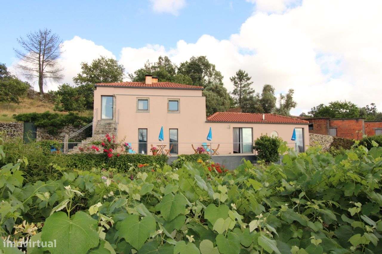 Quinta - Casa de Hóspedes - Oliveira de Frades - Grande imagem: 5/59