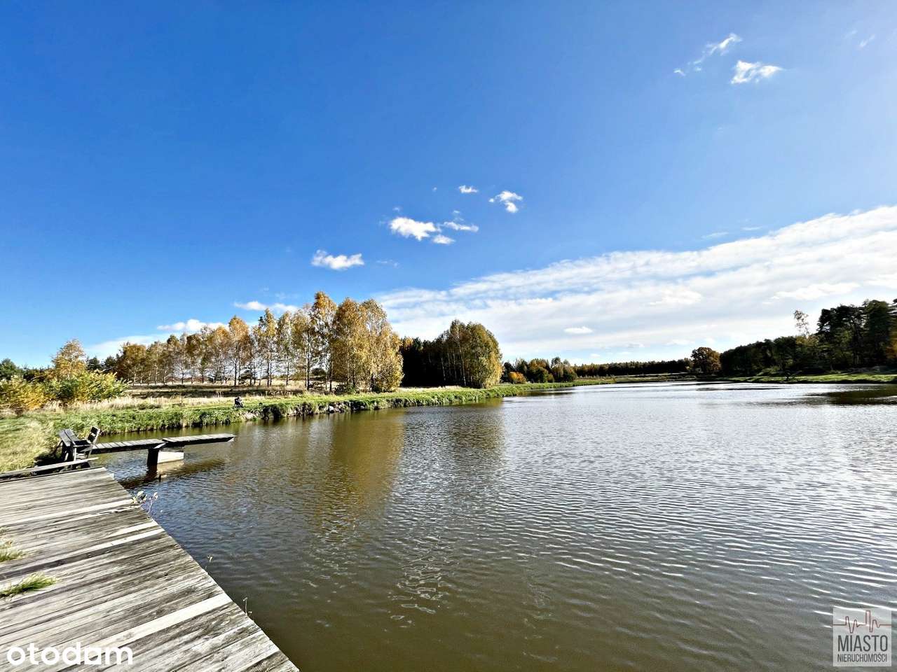 Ostatnia działka budowlana w pobliżu stawu i lasu - Pełny obrazek: 4/10