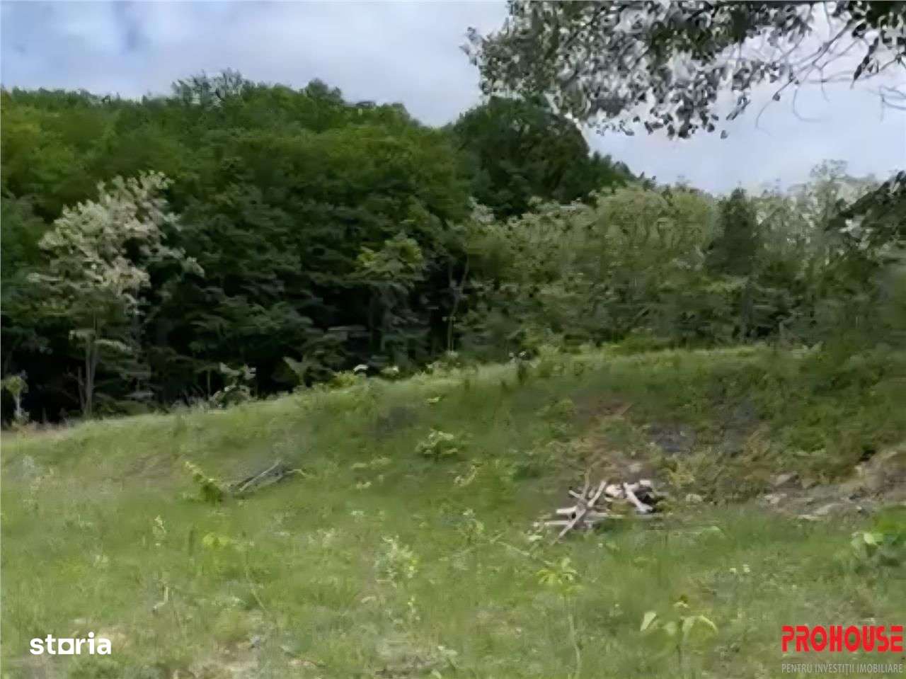 Valea Budului - Teren intravilan. Lac. Padure - Imagine principală: 5/19