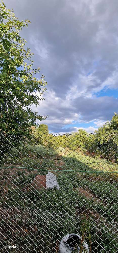 Vand casa la tara cu livada - Imagine principală: 5/5