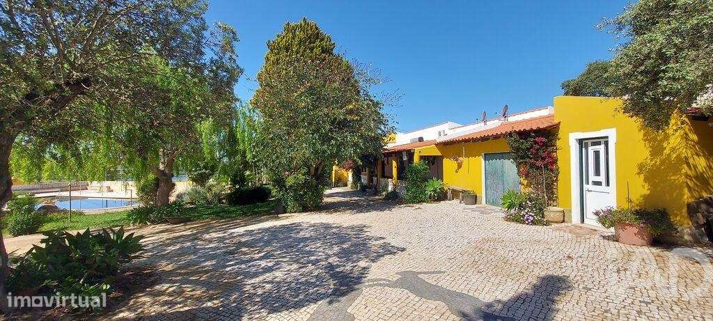 Propriedade T5 em Ourique de 792 m2 - Grande imagem: 5/40