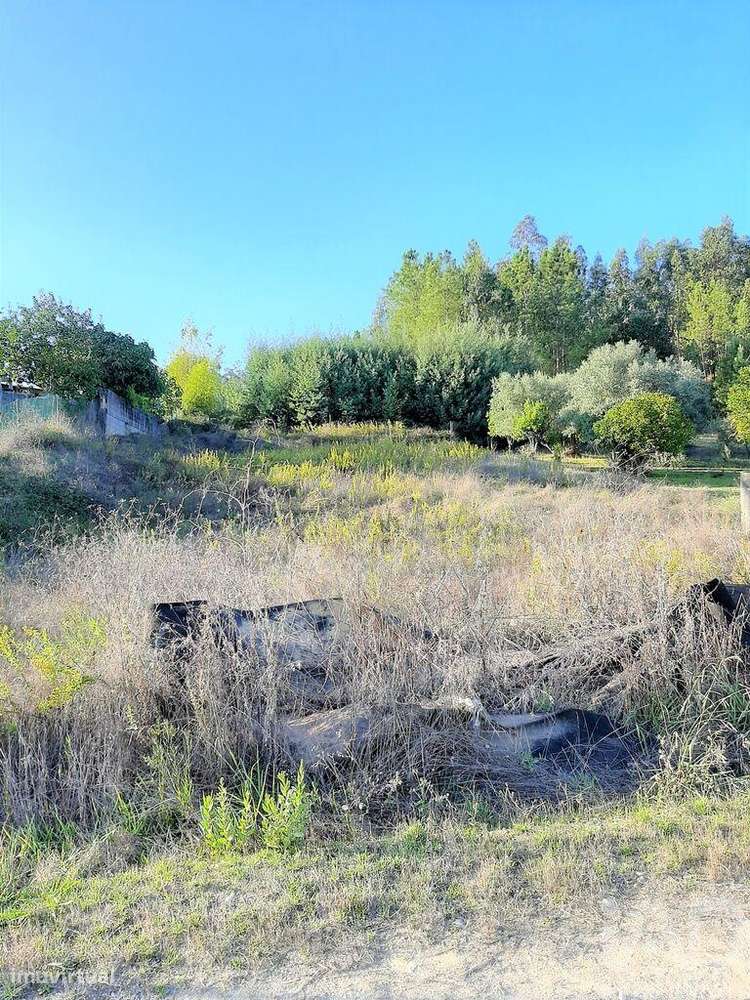 Terreno para construção em Antuzede e Vil de Matos - Grande imagem: 4/6