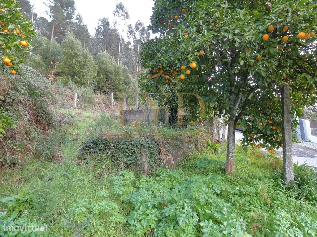 Moradia com terreno Para Restauro-16