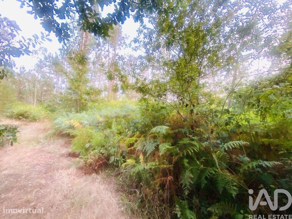 Terreno em Sapardos de 612,00 m2 - Grande imagem: 5/8