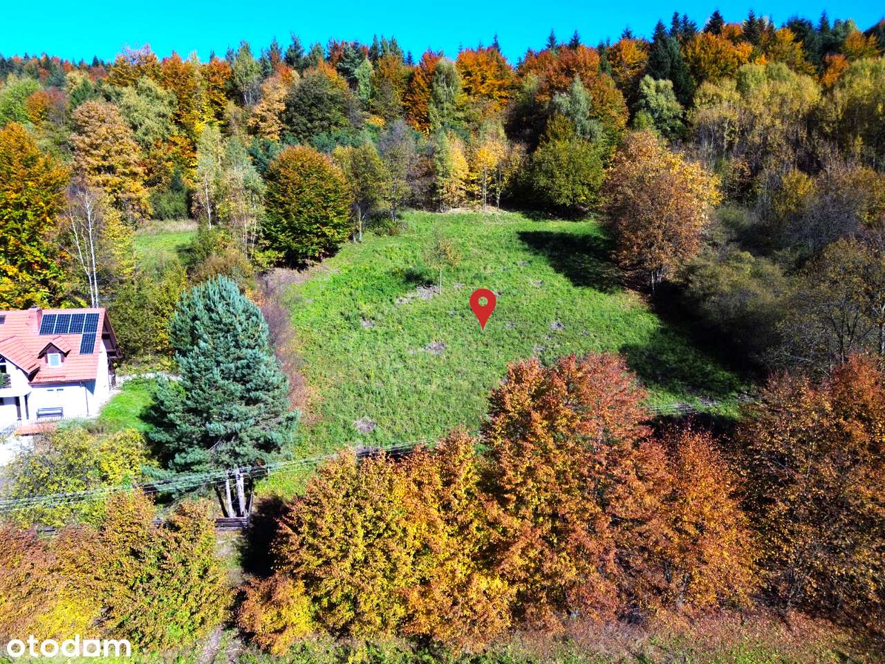 Widokowa działka z własnym lasem! - pod dom, domek weekendowy, domki-7
