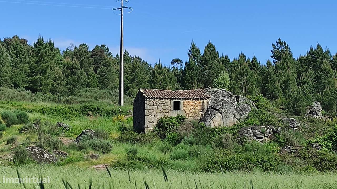 Quinta com Vista para a Serra da Estrela – Um Refúgio Natural-7