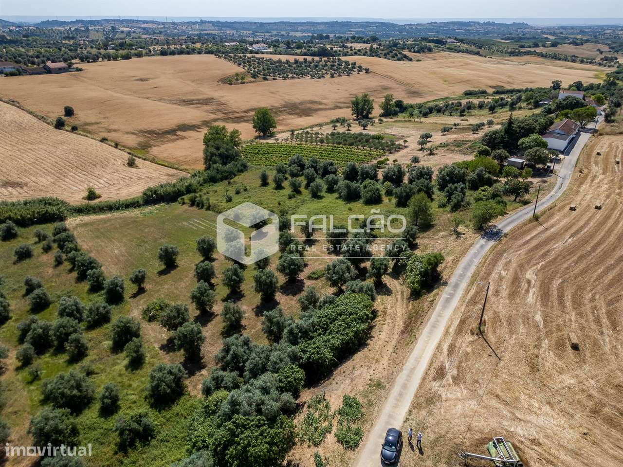 Terreno Rústico  Venda em Casével e Vaqueiros,Santarém - Grande imagem: 5/39
