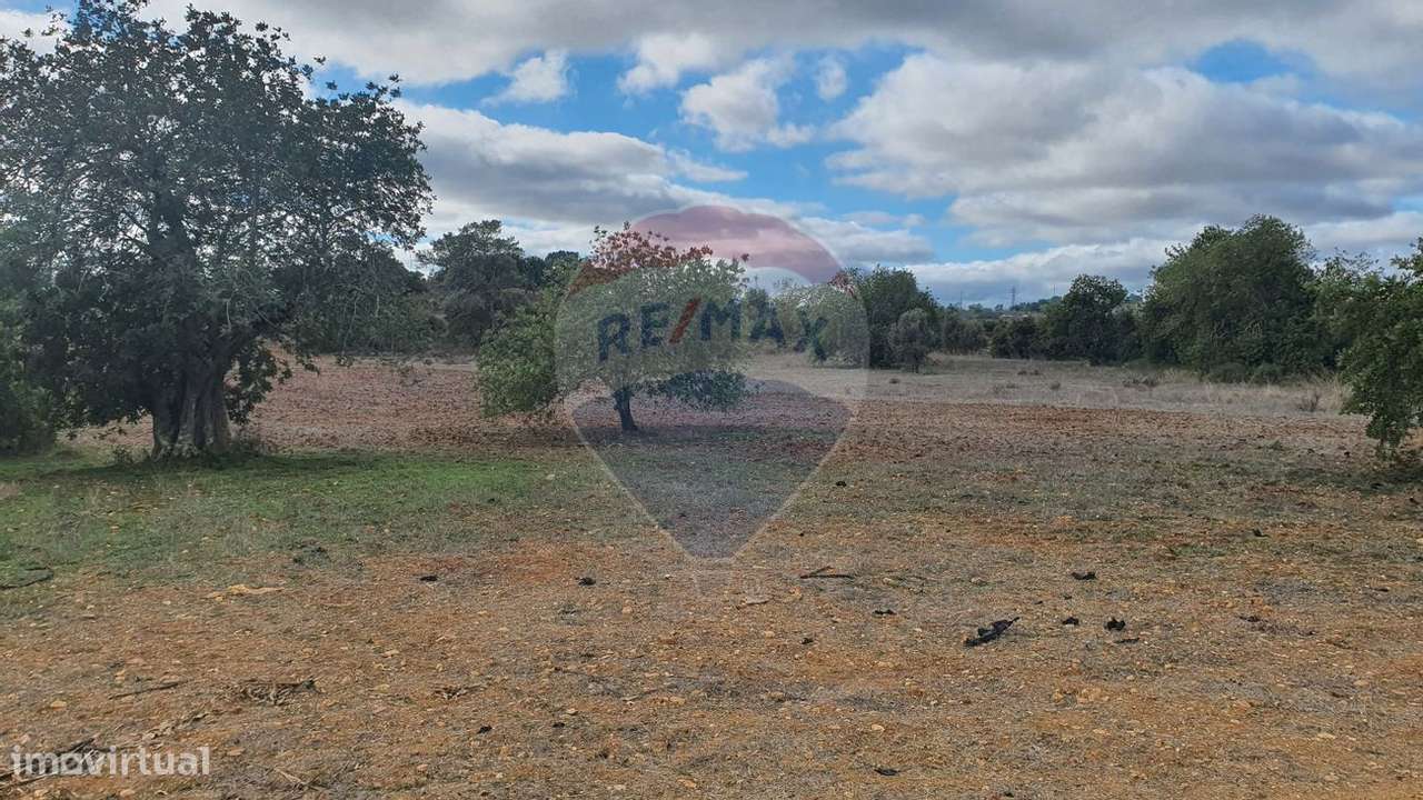 Terreno  para venda - Grande imagem: 4/5