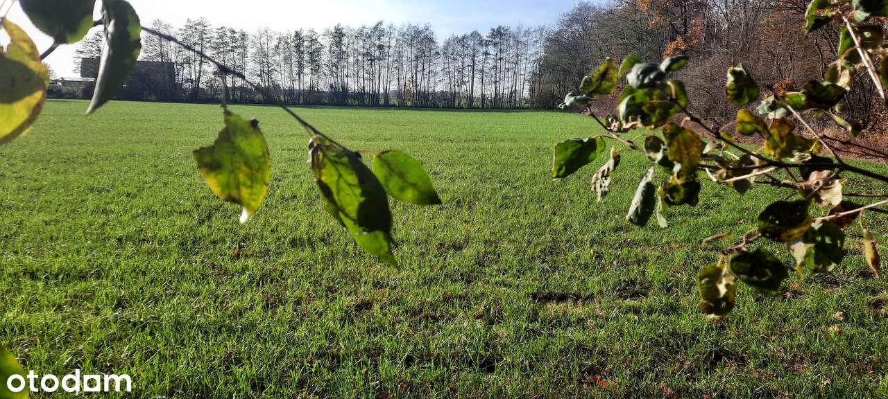 7 działek REZYDENCJONALNYCH  PRZY LESIE  1614m2 do 2610m2 podatek VAT-6