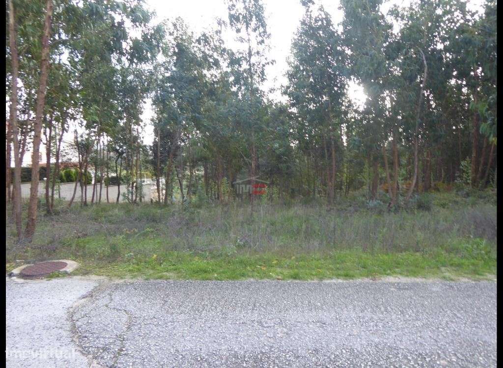 Terreno Atouguia - Grande imagem: 3/11