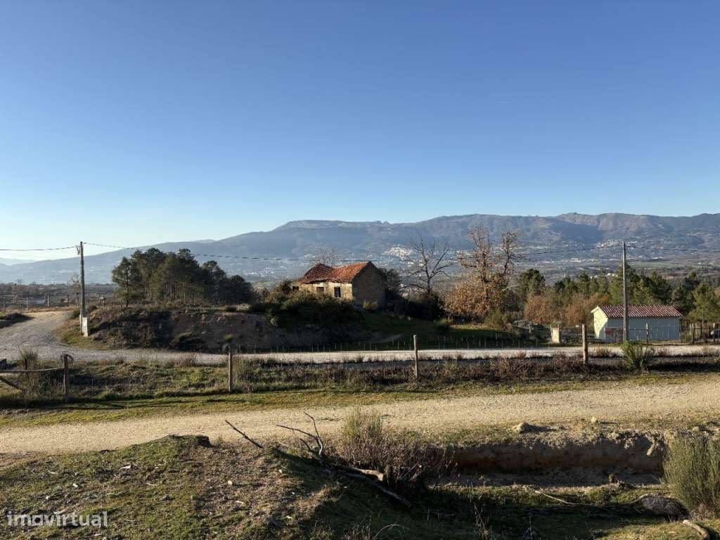 Quinta com casa em pedra para recuperar-9