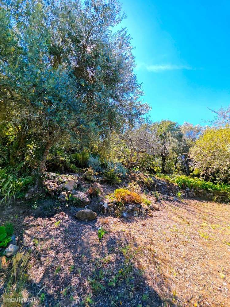 Quinta com muita privacidade, a 11 minutos do centro da Ericeira-38