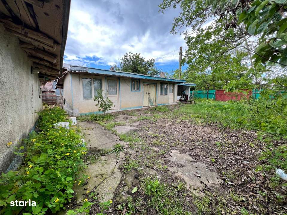 Casa + teren 4430 mp, vie si pomi fructiferi, 22 km de Tecuci-6