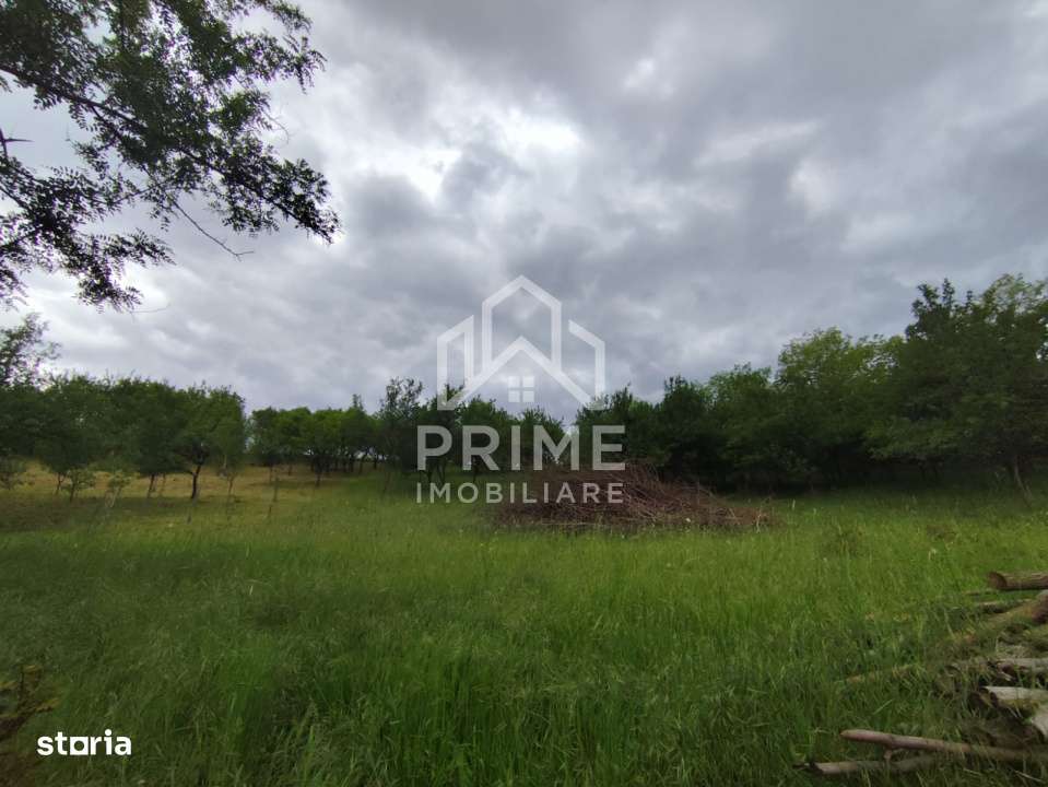 Teren intravilan de 1.900 mp, zona Oarda de Sus - Imagine principală: 2/3