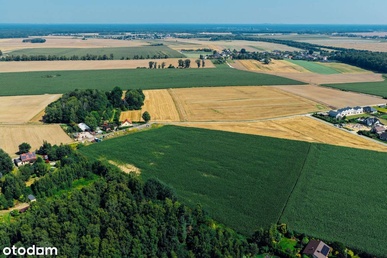 Działki na sprzedaż powierzchnie od 656 do 813 m2-4