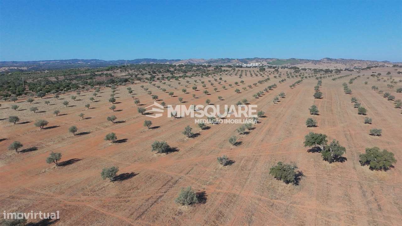Herdade  Venda em Garvão e Santa Luzia,Ourique-14