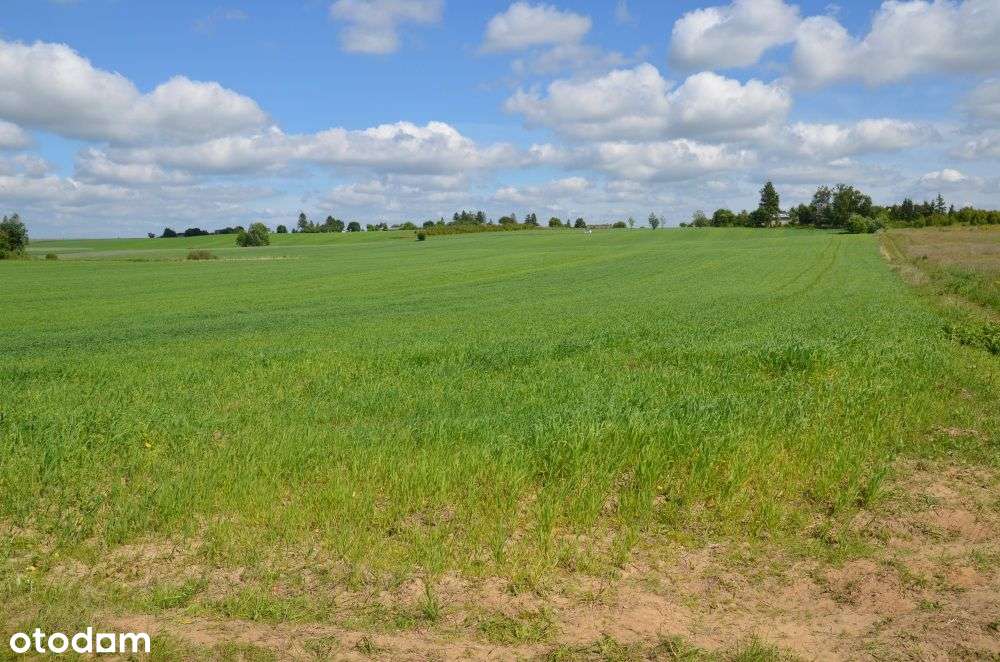 Piękna działka rolno-budowlana - Podole Małe.-3