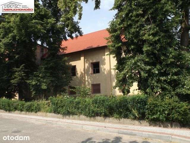 Lokal użytkowy, 750 m², Górzno - Pełny obrazek: 5/5