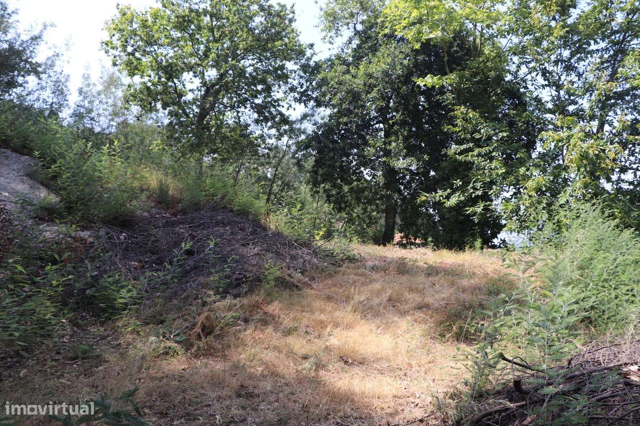Lote de Terreno  Venda em Santa Eulália,Vizela-13