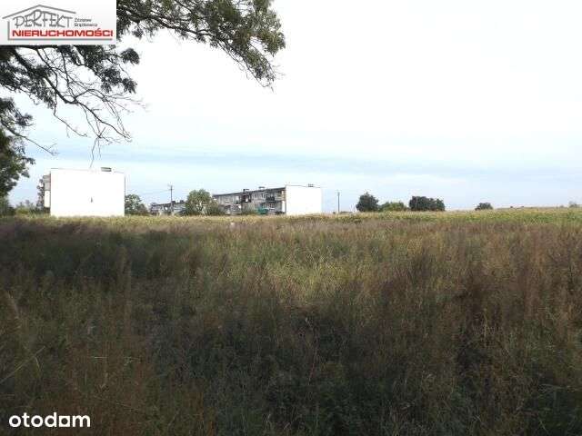 Działka idealna pod inwestycję. - Pełny obrazek: 1/3