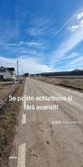 Teren intravilan in RATE FARA AVANS Dascalu- ILFOV langa padure