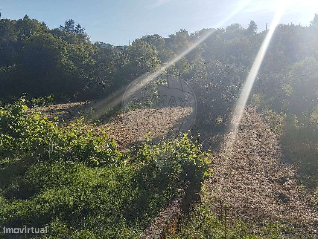 Terreno  para venda - Grande imagem: 3/10