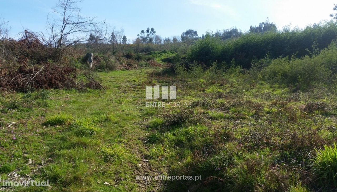 Venda Terreno, Vistas desafogadas, Manhuncelos, Marco de Canaveses