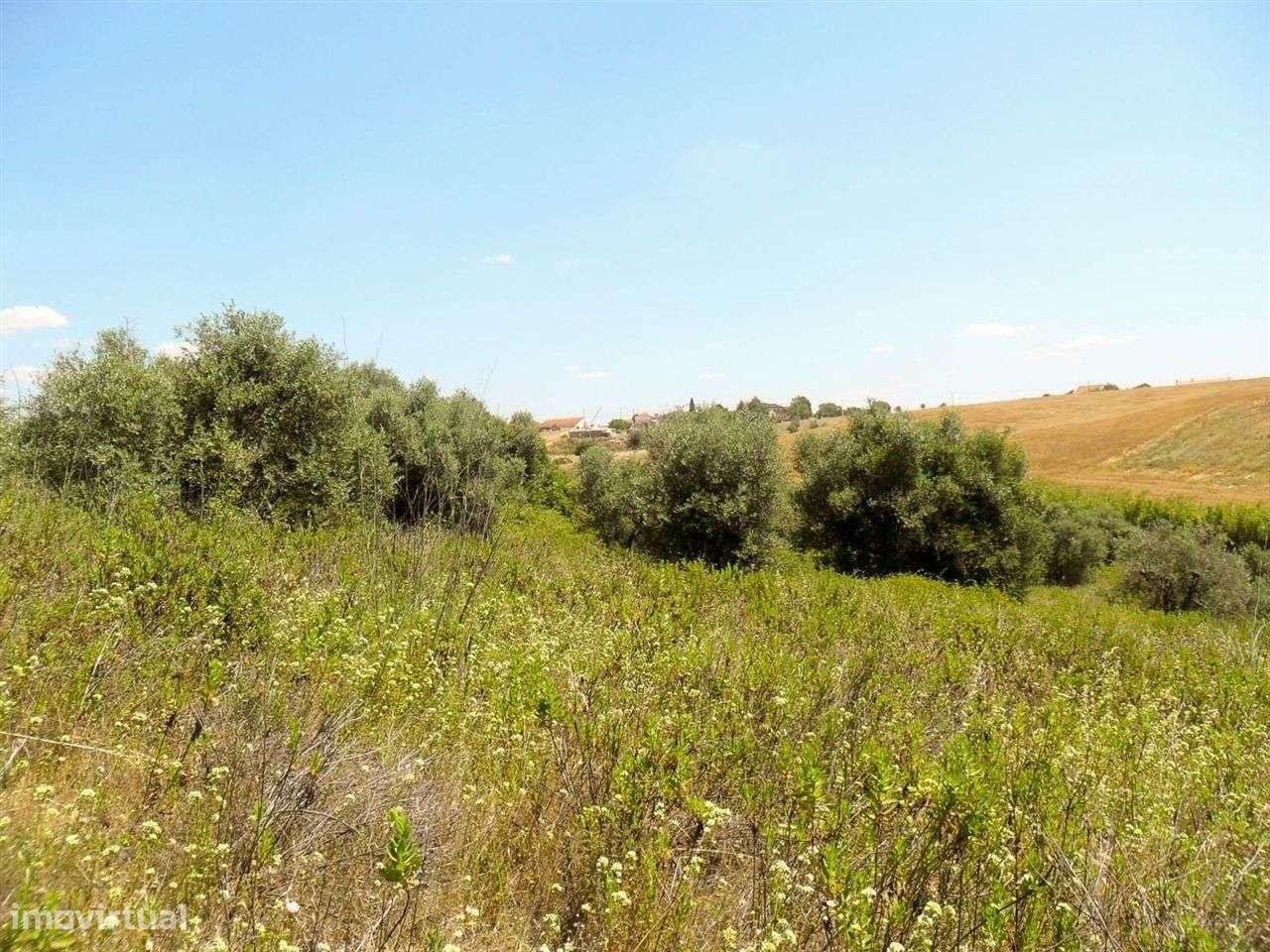 Terreno com 4.720m2 - Vista Magnifica Sobre o Campo - Grande imagem: 4/5