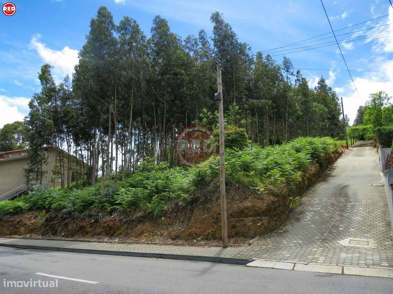 Terreno c/ 1.500m2 em Crestuma - Grande imagem: 4/16