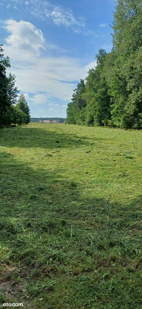Działka z warunkami zabudowy