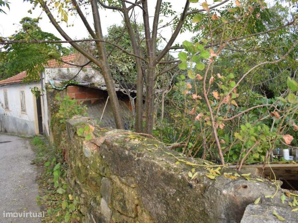 Quinta entre Antanhol e Cernache-14