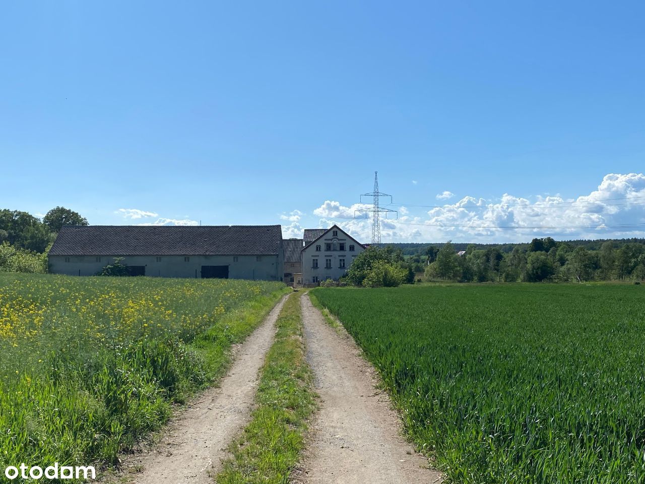 Dom Gospodarstwo Agroturystyka Stadnina Koni