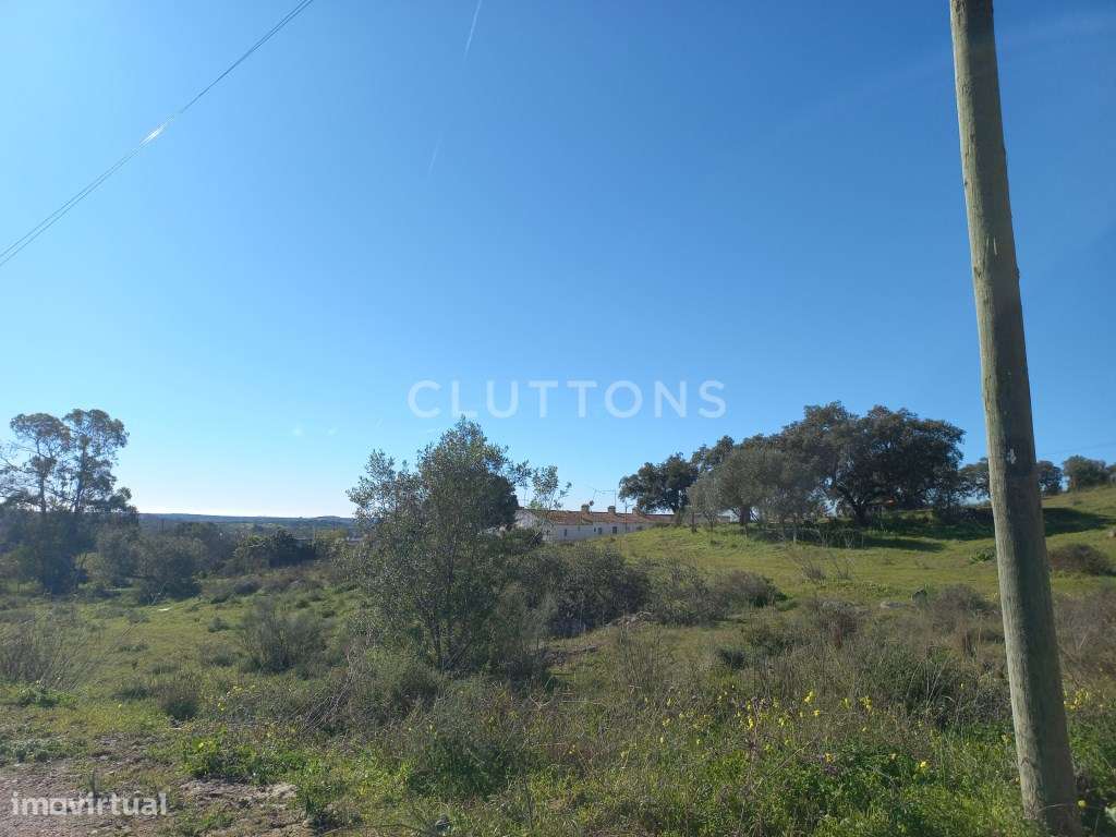 Terreno - Quinta, Investimento, 12 hectares e 844 m2 edificados, Évora-21