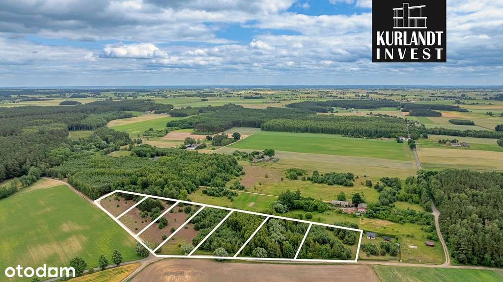 Działka budowlana 3225 m² z WZ - Pełny obrazek: 4/5