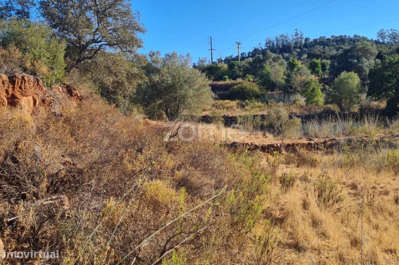 Terreno Rústico em Caldeirinha, Amorosa com 7.800m2, S.B.Messines - Grande imagem: 4/15