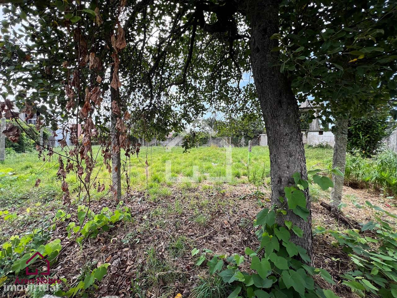 Terreno para construção, Pedroso - Grande imagem: 5/8