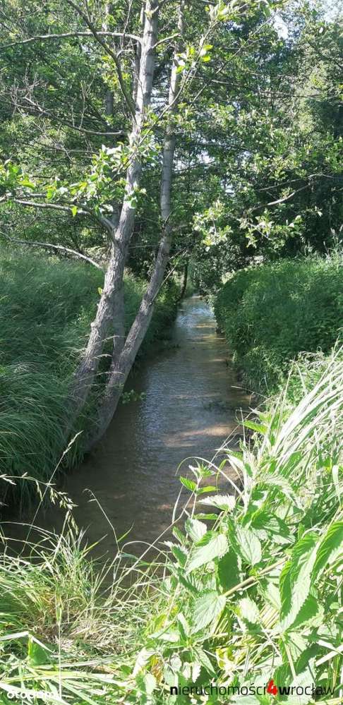 7 działek*Potok*Budowlane /Usługi*Media-0