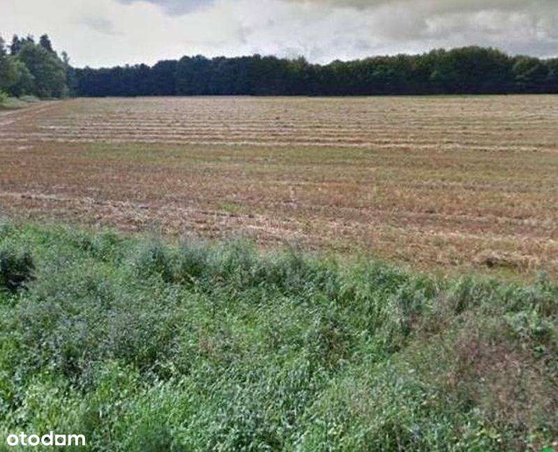 Darłowo .Święcianowo . Działki rolne . Morze . Las - Pełny obrazek: 5/9