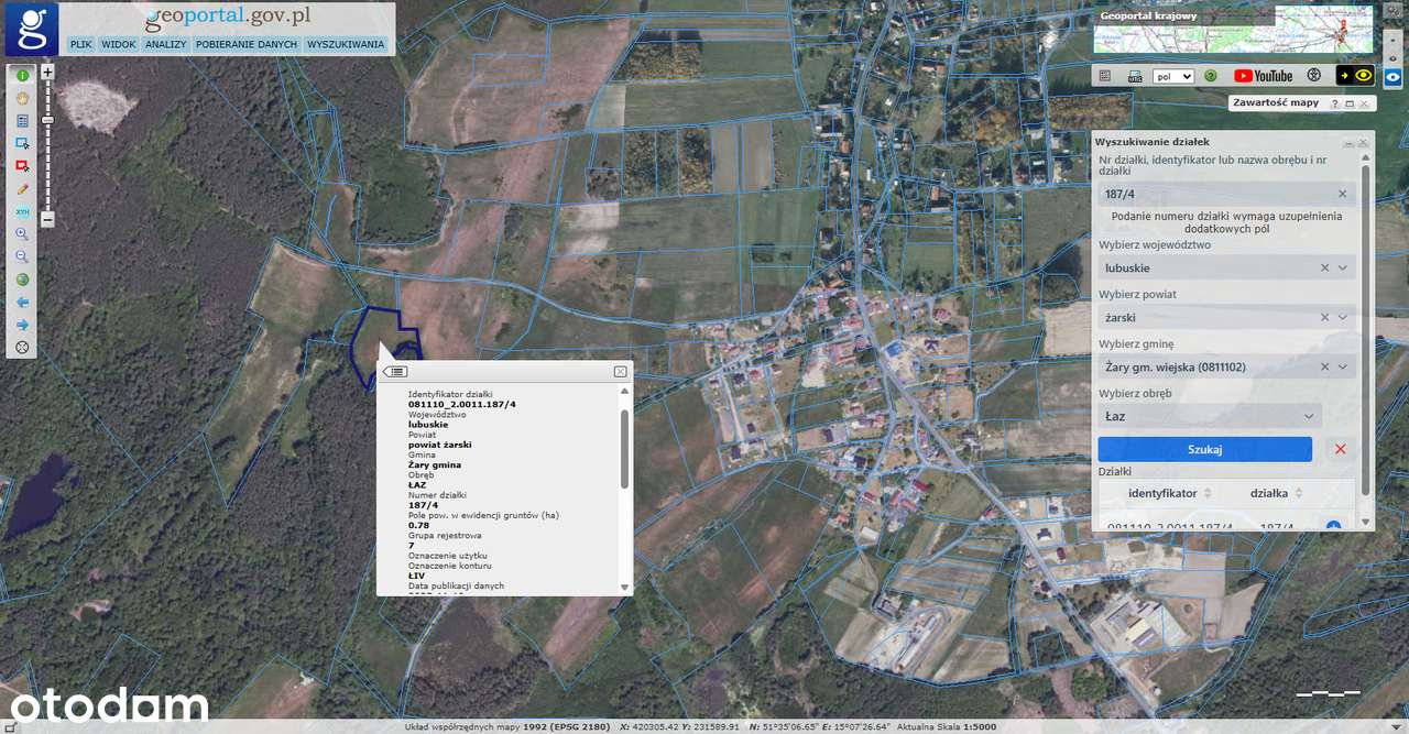 Na sprzedaż 4 ha w dwóch działkach - Pełny obrazek: 4/4