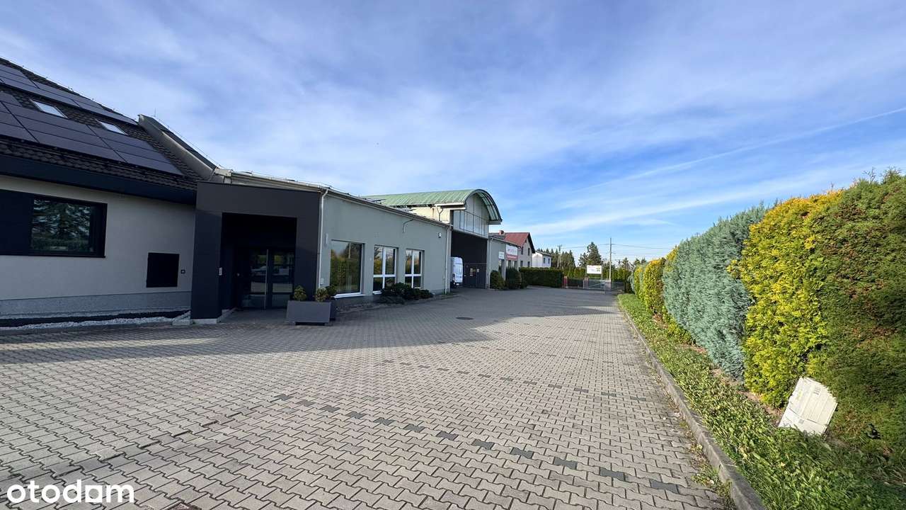 Powierzchnia Sklepowo-Magazynowo-Usługowa - Pełny obrazek: 2/20