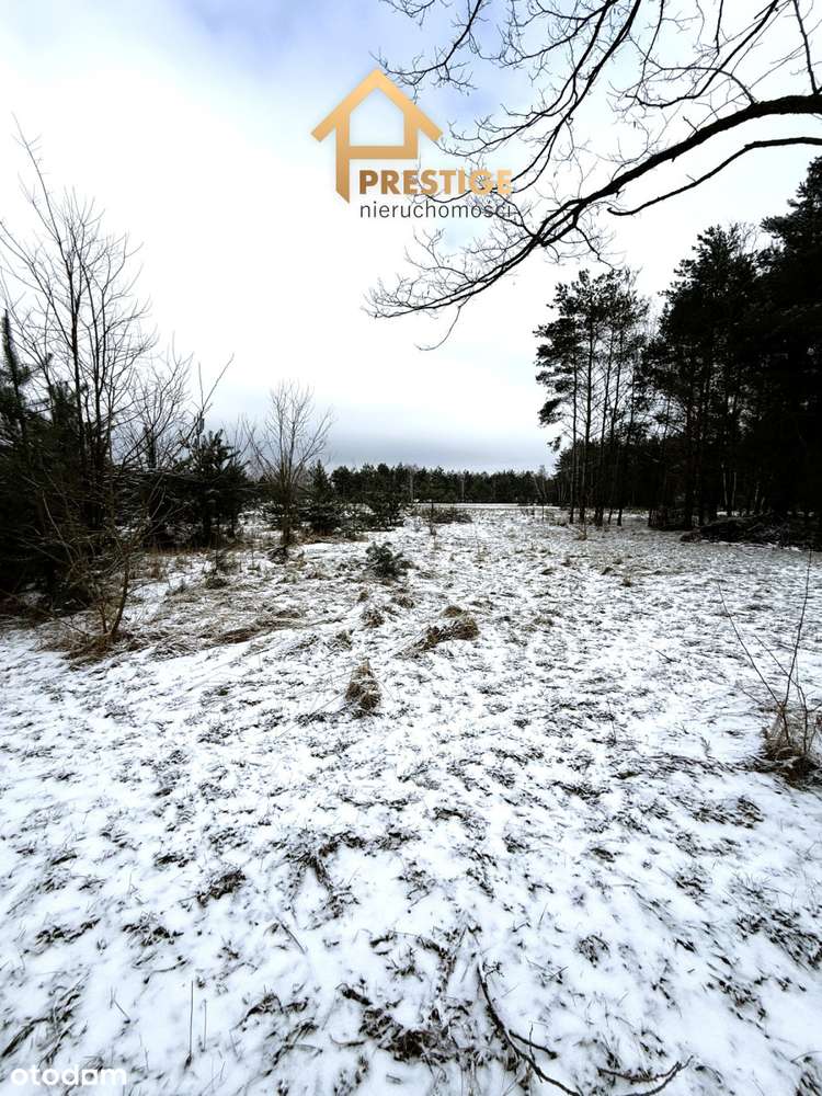 Wyjątkowa enklawa 4,94ha działka budowlana z lasem-8