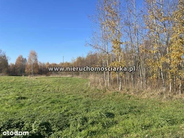 Działka usługowa 38 arów - Pełny obrazek: 4/9