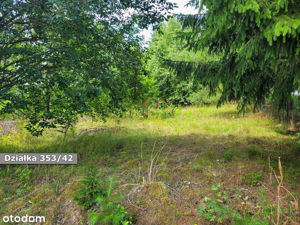 Grunt kilkadziesiąt m od Jez. Szelment | Prywatnie-8