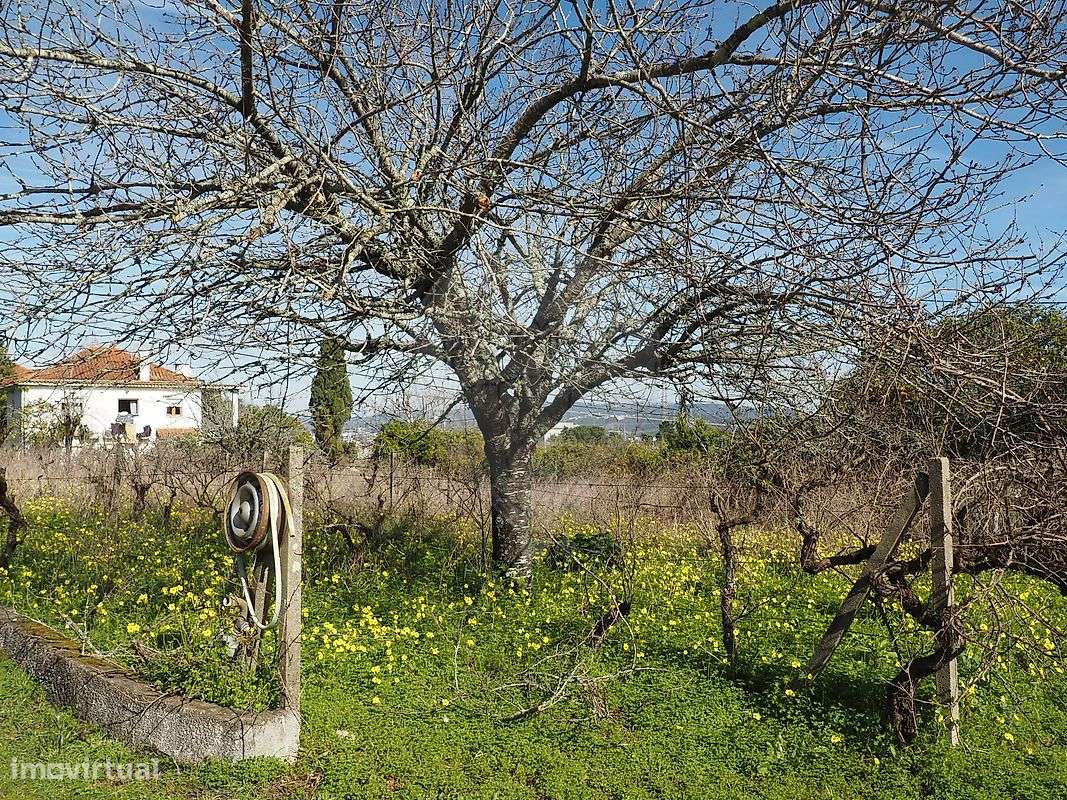 Quinta T3 para venda - Grande imagem: 5/50